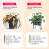 Balcony greenhouse 80x40x163 cm with foil