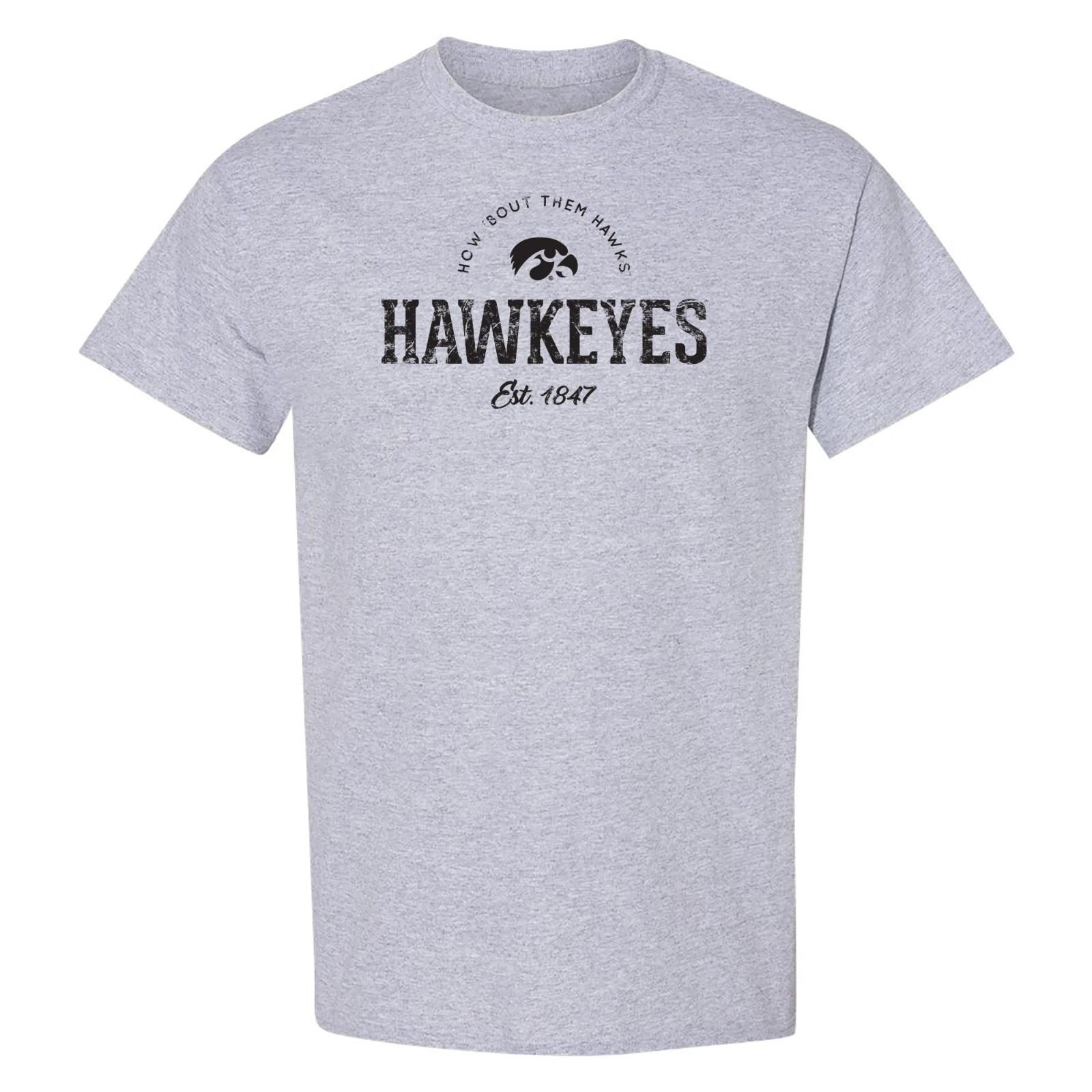 Iowa Hawkeyes Established Arch Logo Licensed Unisex T-Shirt - Sport Grey M