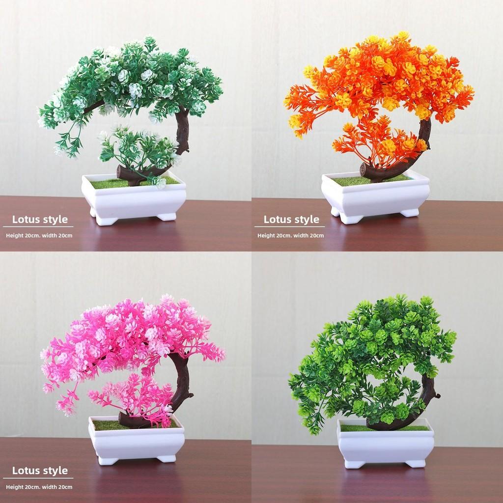 Plastic Bonsai Terrarium With Creative Design For Indoor Garden Display