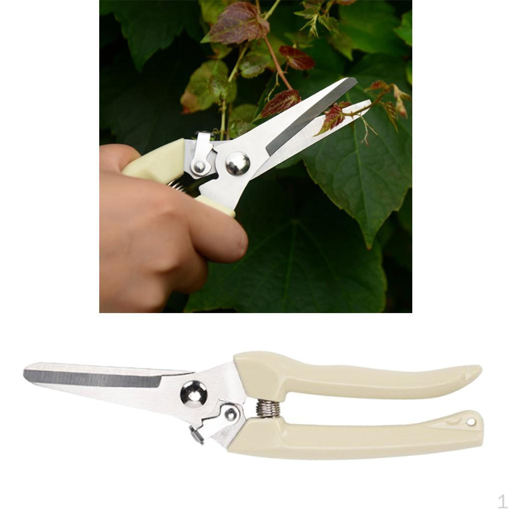 

Garden Pruning Shears Pruners Plant Cutter Scissor Hand Tools