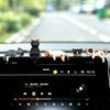 5 Pcs Cute Cat Car Interior Accessories Dashboard Decorations | Funny Mini Resin Cat Figurines Rear View Mirror Ornament for Car Desk Decorations