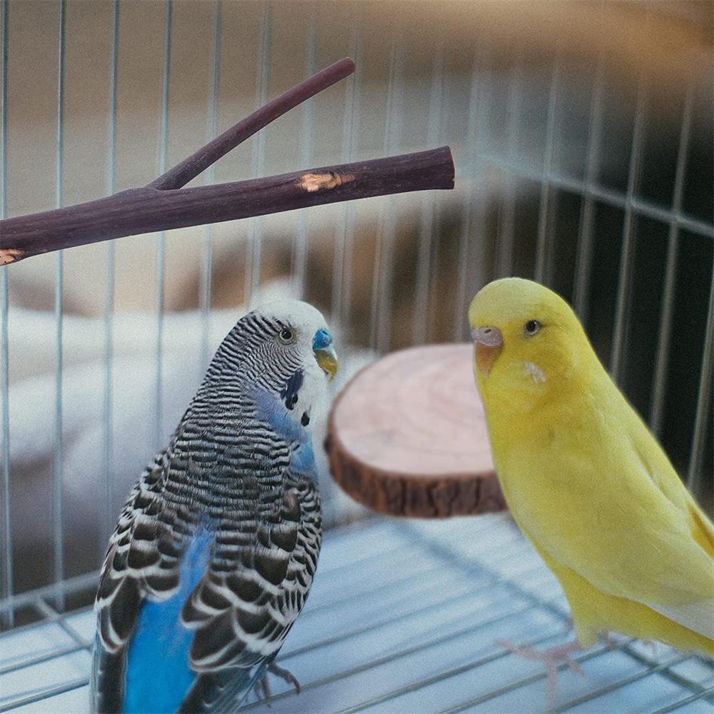 Vogelsitzstangenständer, 8 Stück, Stange aus natürlichem Traubenholz, stehender Papageienkäfig, Astpfoten-Schleifgabel, Sittichplattform, Hängematte für Conures, Wellensittiche, Finken
