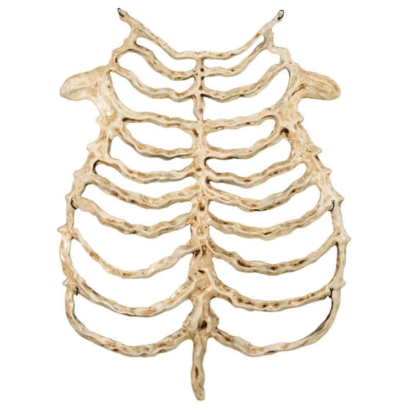 Scheletro di Plastica Realistico Costume Accessori Per Feste di Halloween e Spettacoli Teatrali Con Design Dettagliato
