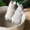 Bunny With Carrot Flower Pot Reusable Cartoon Spring Flower Pot Resin Animal Succulents Holder for Home Festival Decoration