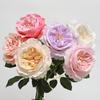 Real Touch Artificial Rose Flower 24.8" Long Stem Fake Rose Flower Realistic Big Bloom Rose Bouquet for Wedding Party Floral Arrangement Vase Decor