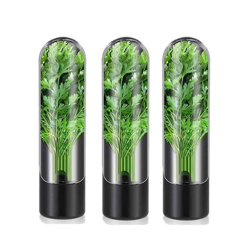 Vegetables Fresh Preservation Bottle Herb Saver Storage Container Fresh Herb Keeper Vanilla For Storing Kitchen Supplies