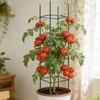 Tomato Trellis 36-piece Expandable Climbing Connector Clips Trellis Sticks Poles Tomato Plant Cage for Gardening Vegetable