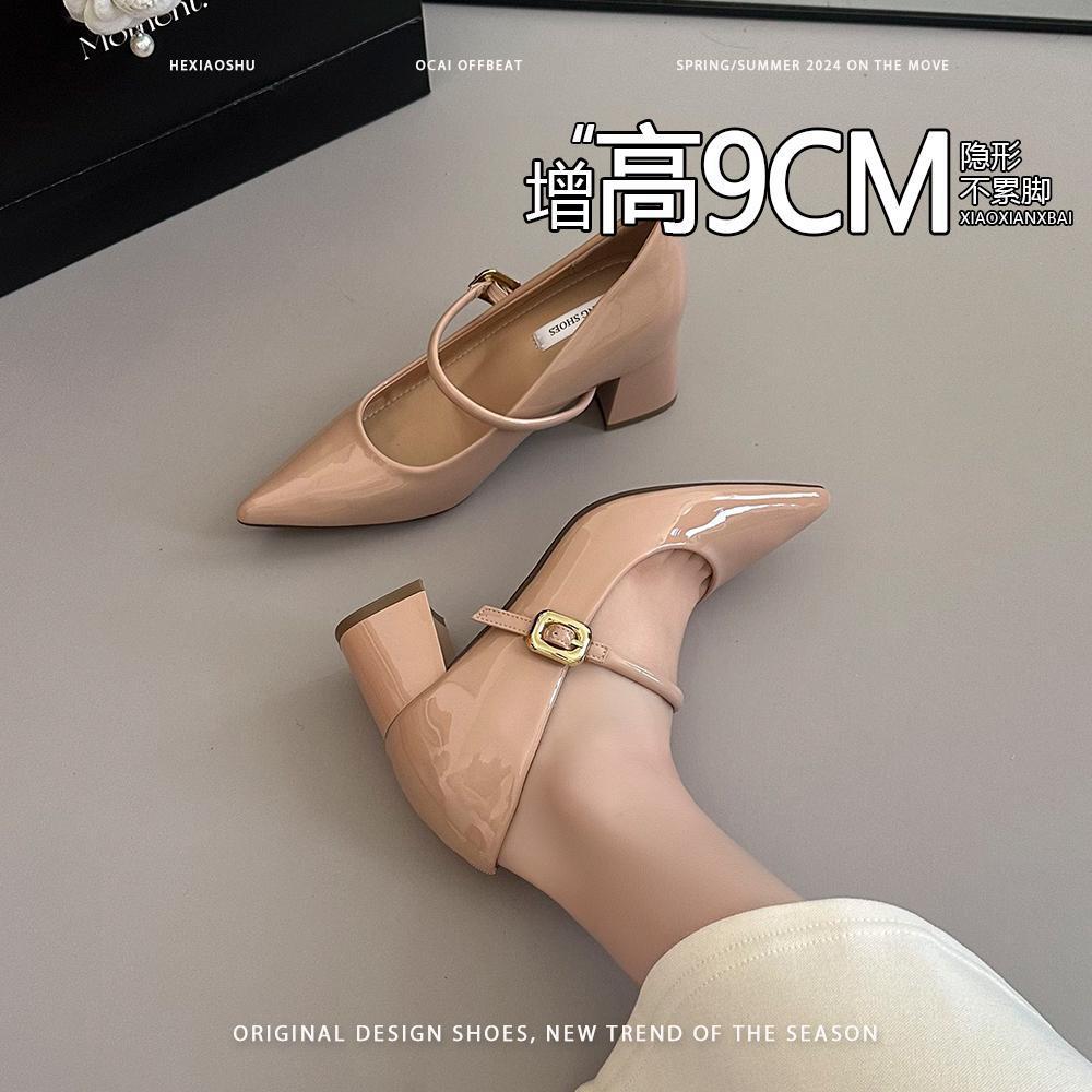 Sheepskin Version~ Inner Height Increase 9cm Pointed High Heels French Gentle Evening Wind Thick Heel Mary Jane Shoes Women's Single Shoes