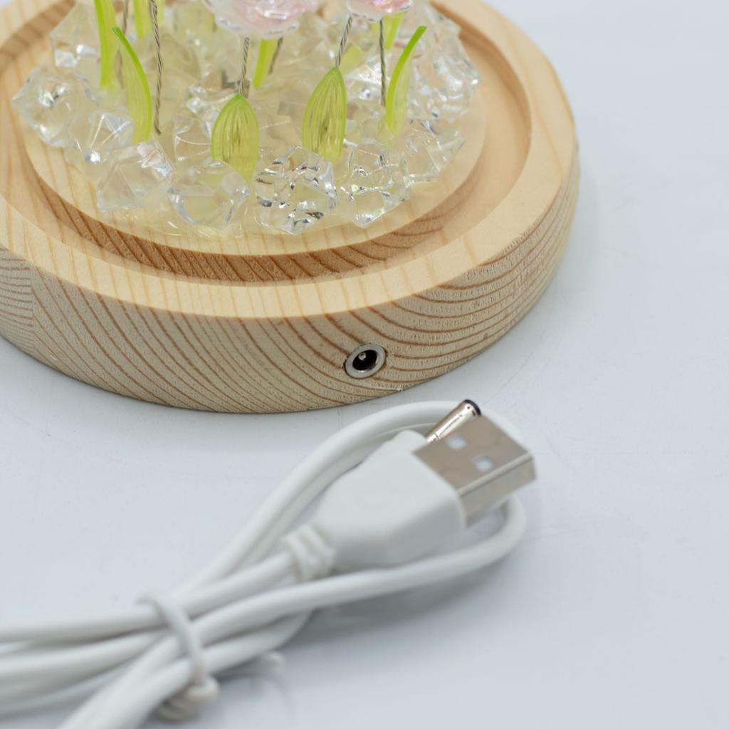 Floral Glow Garden Dome – 10 Pink Roses – LED USB