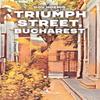 Triumph Street Bucharest by Dov Hoenig Paperback Book 9781912545872