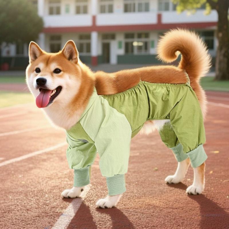 Elastische Hundekleidung, schmutzabweisend für den Ausflug, und haarendschützende Kleidung