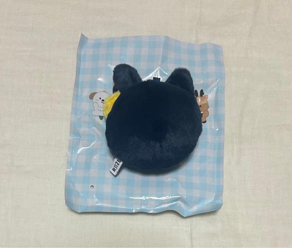 [USED] RIIZE Won Bin China Shanghai Pop-up Blind Box