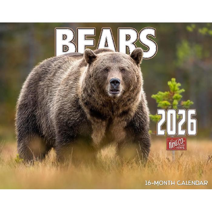 2026 Bears Wall Calendar 16-Month X-Large Size 14x22, Grizzly, Brown, Black Bears Calendar by The KING Company-Monster Calendars 2026 Bears Wall Calendar