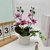 Artificial Plastic Phalaenopsis Flower Bonsai For Event Decoration Home Styling