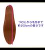 CaseEden Cosplay Wig, Premium, Smooth, Long, 100cm, Brown, 6156