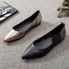 Flat-soled Single Shoes Women's Soft Leather Pointed New Spring and Autumn Soft-soled Shallow Mouth Not Tired Feet Fashion Shoes Women