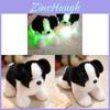 Leuchtendes Border Collie Plüschtier LED-Licht Kindergeschenk Für Kinder