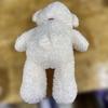 [USED] White teddy bear with ribbon