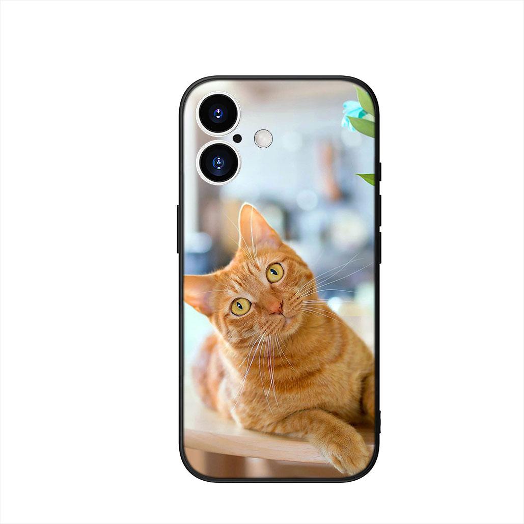 

Kitten Cat Cover Phone Case for Samsung Galaxy A07 A13 A12 A14 A23 A42 A50 A51 A52 A53 A70 A71 A72 A21S A04 Note 20 9 8 10 Galaxy Note10 Lite