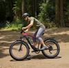 Bicicletta elettrica Duotts F26 Lite, motore 500W, batteria 48V 18AH, velocità massima 50 km/h, autonomia 90km, pneumatici 26x4.0 pollici