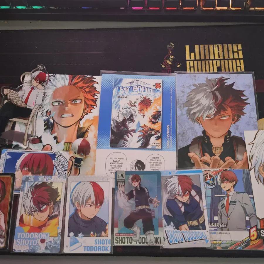 

My Hero Academia Todoroki Shoto Goods Batch Snapmide 10 Girl