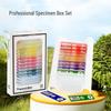 Kids' Portable Microscope Kit: Science Education Toy for Primary School Experiments
