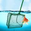Portable Fishing Net Aquarium Fish Tank Catching Fish Landing Floating Filter Pond Pool Leaves Skimmer Net 3/4/5/6/8/10/12 Inch