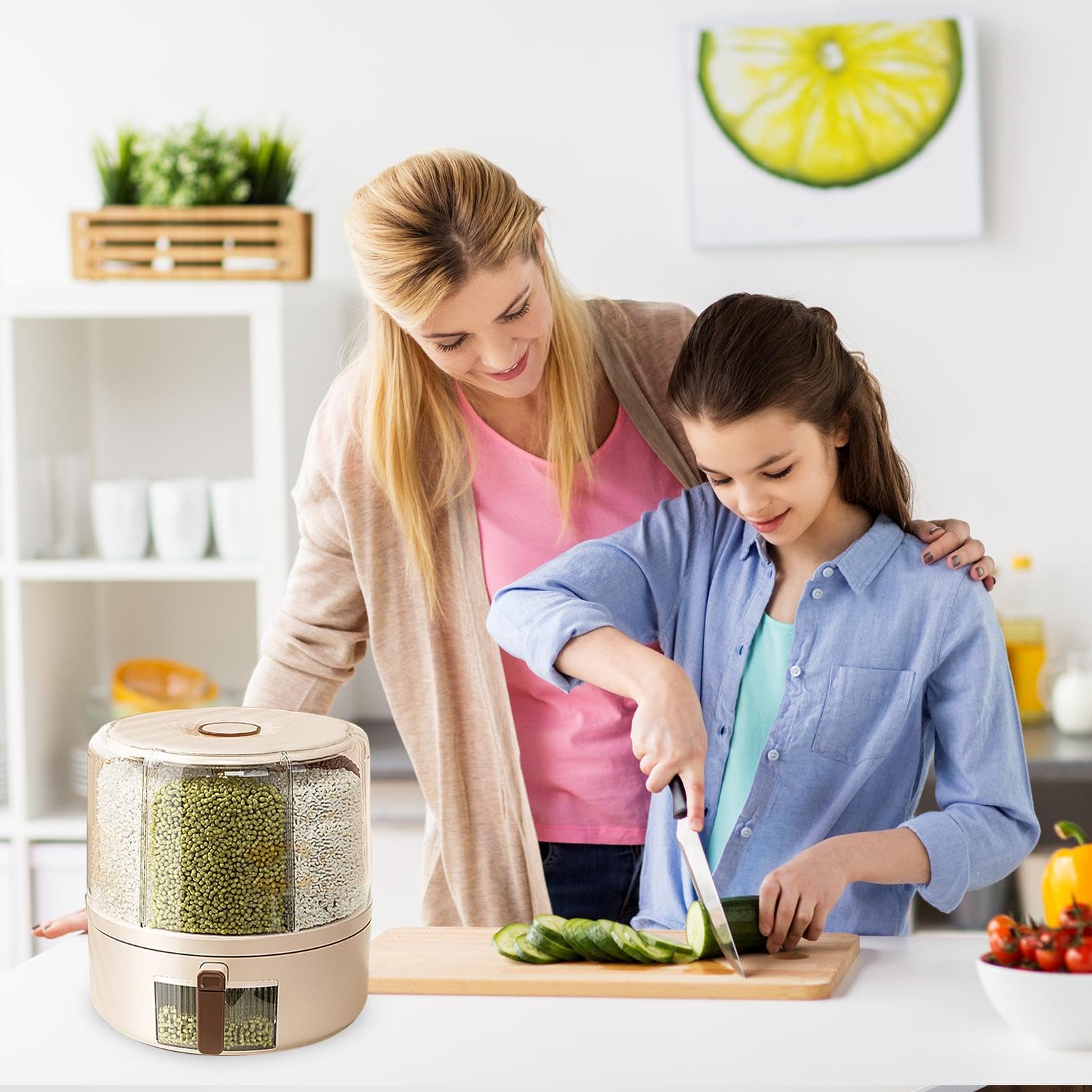 

Removable Rotating Grain Storage Box 6 Grids Rice Bucket Moisture-Proof Insect-Proof Sealed Food Dispenser 4L (BPA-Free,NO FDA Certificate) Type A