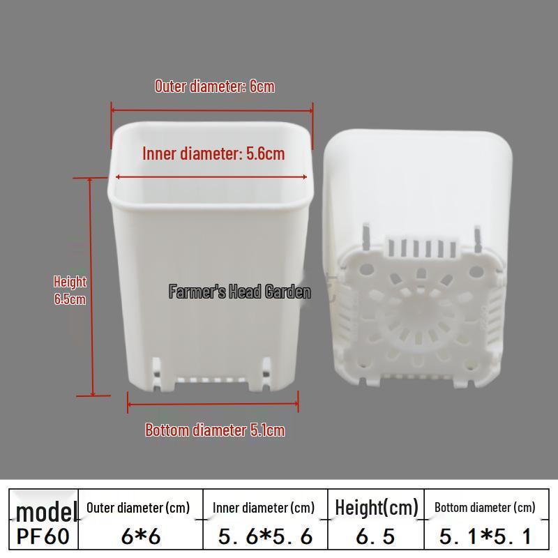 Square Root Control Succulent Pot: Short & Chubby Plastic Flower Pot for Seedlings or Kindergarten Activities