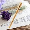 Soprano Recorder All Wood Compact Music Instrument for Children Student Home