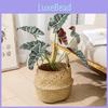 Style Artificial Alocasia Odora Leaf Plant With Handcrafted Basket For Home Decor