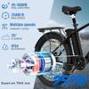 Electric Bike for Adult Colorway BK3MS 26inch 250W36V 15Ah Battery