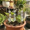 6Pcs/Set Handmade Garden Crystal Suncatchers Colorful Rainbow Plant Stakes  Yard Decor