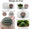 Plastic Aquarium Moss Ball Filter Aquatic Pet Supplies Decorations For Shrimps Fish Tank Pet Products Fish Tank Decor Moss Mold