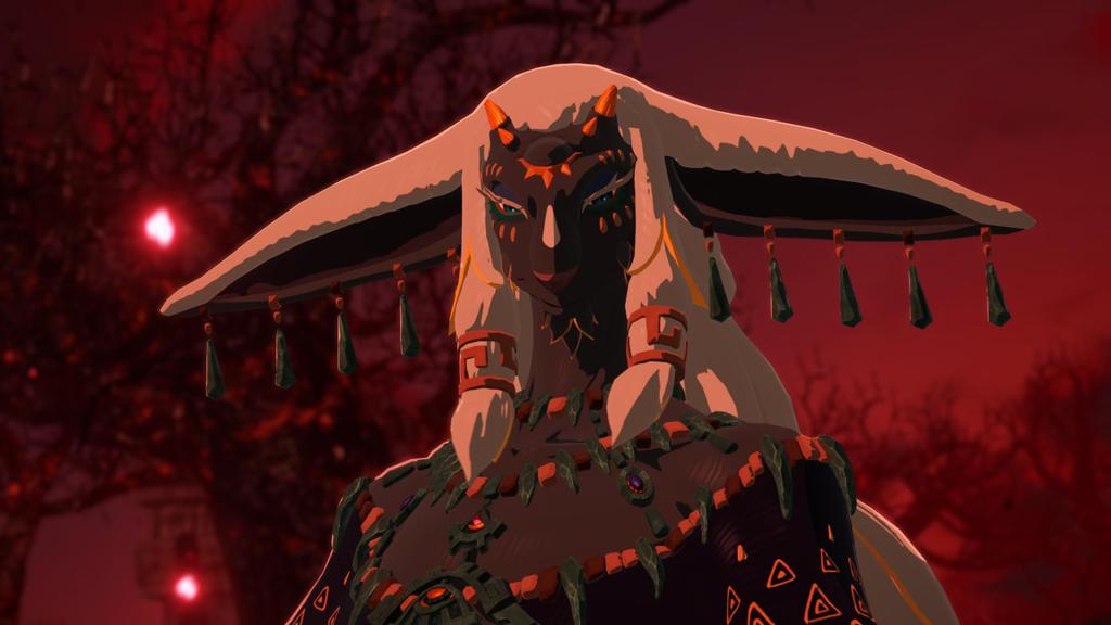 Hyrule Zeitalter der Gefangennahme Nord Switch 2 Krieger (Importierte Version Amerika) –