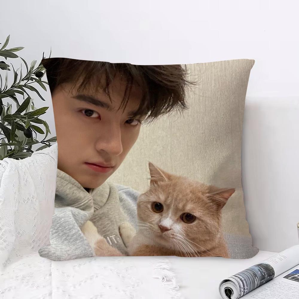 

LinYi Chinese Actor Cushion Cover Anti-dustmite Pillowcase Invisible Zipper Silky Short Plush Sofa Cushion Cover 30cmx30cm