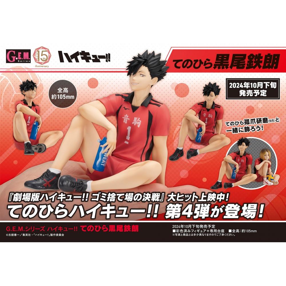 Haikyu G.e.m. Series Haikyu Tenohira Tetsuro Kuroo