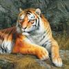 Full Drill Square Diamond Painting Tiger Needlework Art Diamond Embroidery Animal Diamond Mosaic Handicraft Home Decor