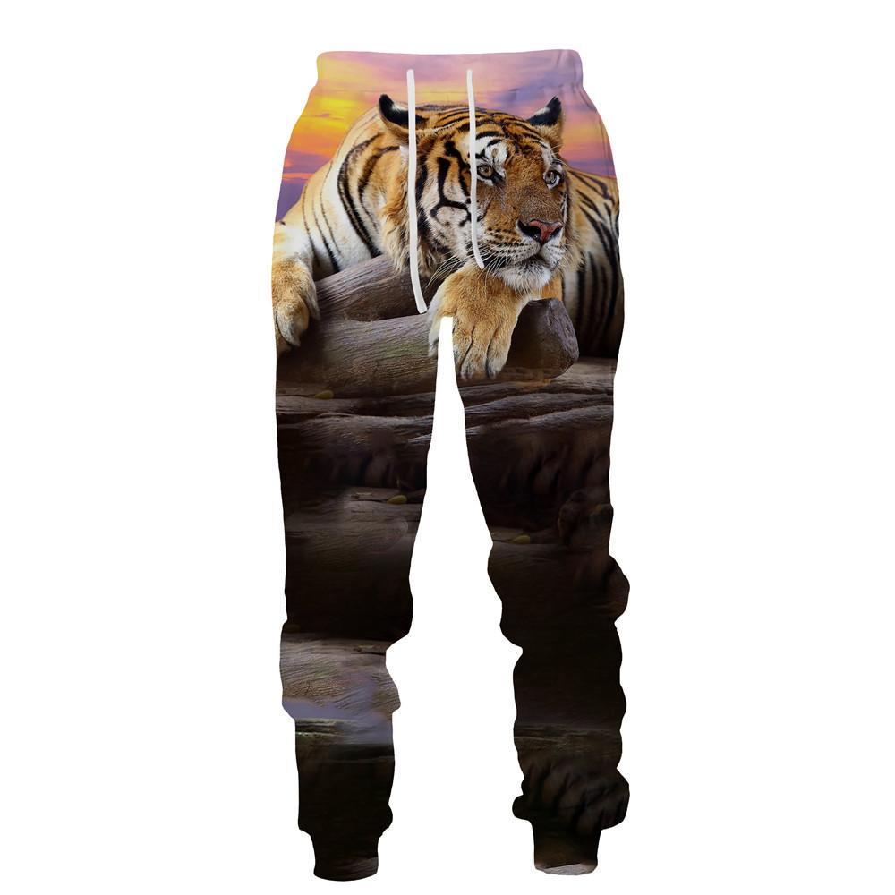 Buy Fashion 3d Tiger Printed Pants Men 