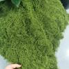 Artificial Green Moss Turf Lawn for Landscaping and Garden Decor