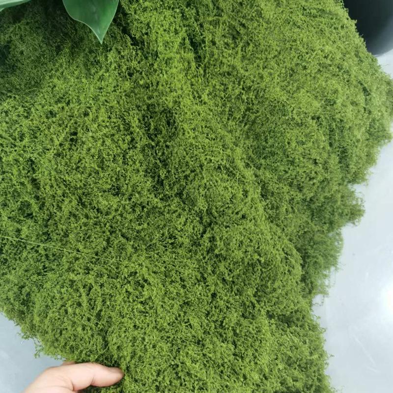 Artificial Green Moss Turf Lawn for Landscaping and Garden Decor