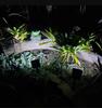 2-4Pcs Solar Powered 50/53LED Lamp Adjustable Solar Spotlight In-Ground IP65 Waterproof Landscape Wall Light Outdoor Lighting