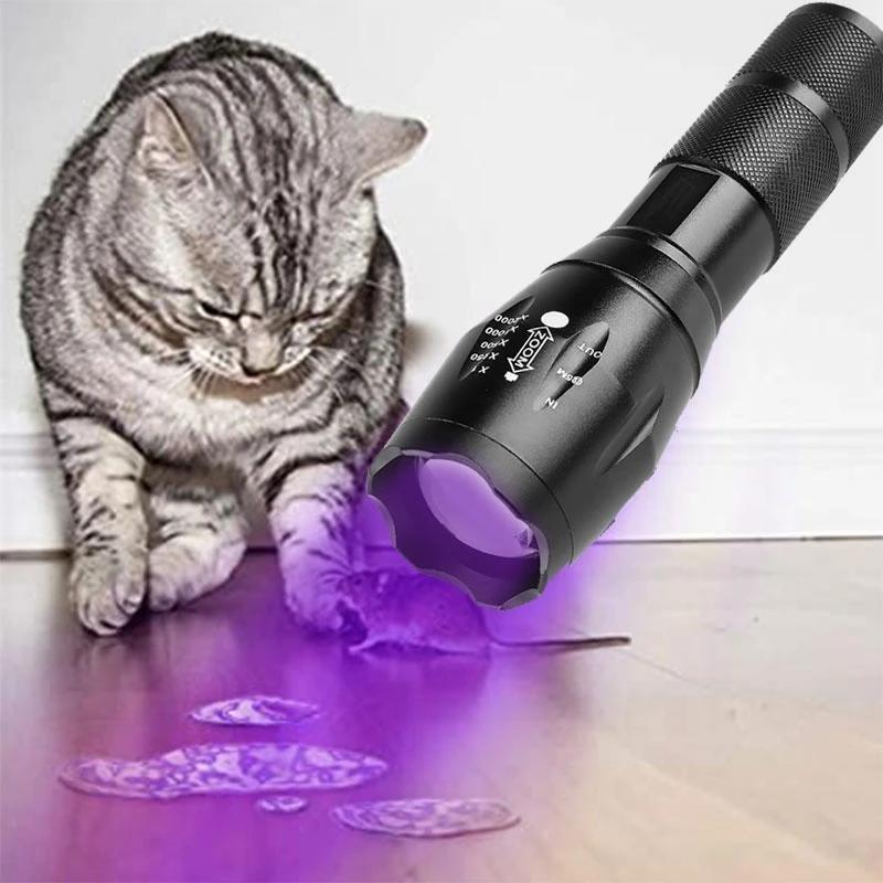 395nm 2 in 1 UV Flashlight Black Light LED Torch Type-C Rechargeable Lamp Outdoor Zoom Waterproof Lantern for Pet Urine Stains