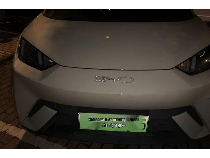 BYD Qin Yuan Dolphin Seal Destroyer Emblem Rhinestone Car Sticker