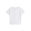Polo Kids Boys CoTTon Jersey Crewneck T shirT 2 7 Years  cwpoTshb8021210100 