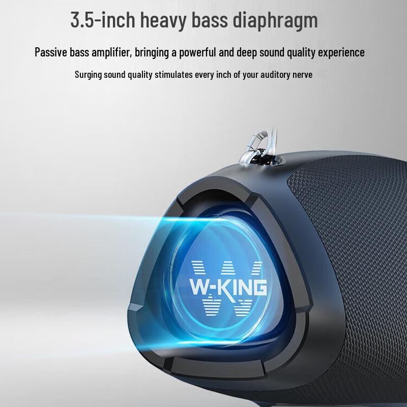 W-King D10+ Portable Bluetooth Karaoke Speaker CN Plug (adapter Included)