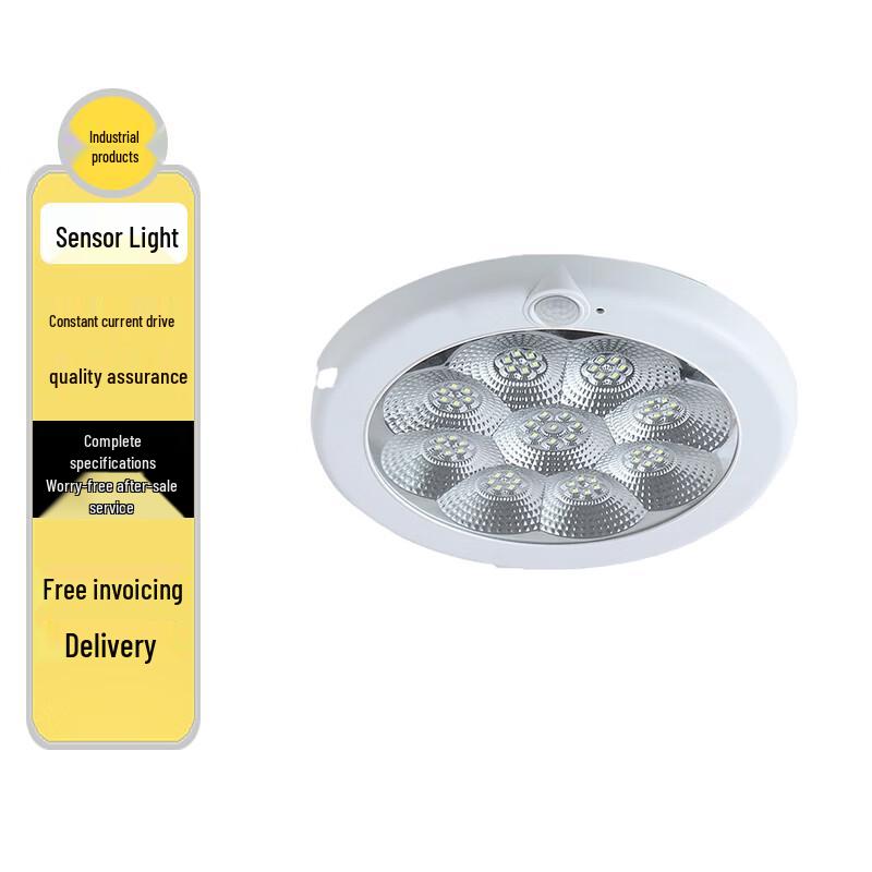 Ailangke LED Motion Sensor Emergency Ceiling Light