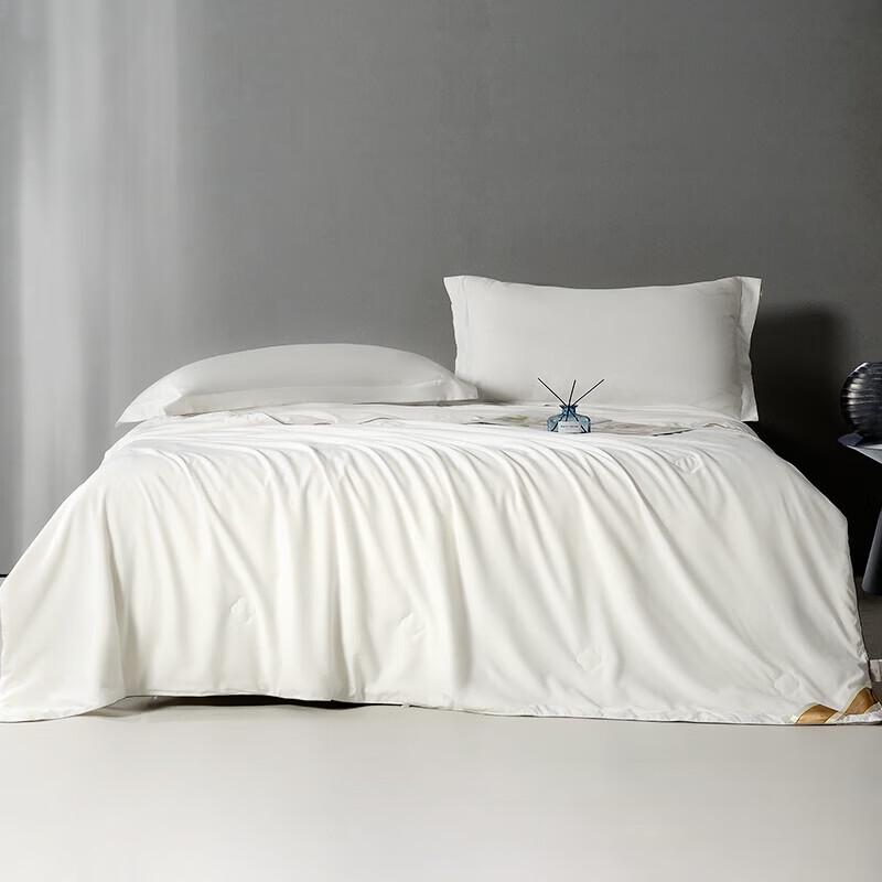

Hongxiu Shifang Anti-bacterial Natural Tussah Silk Quilt