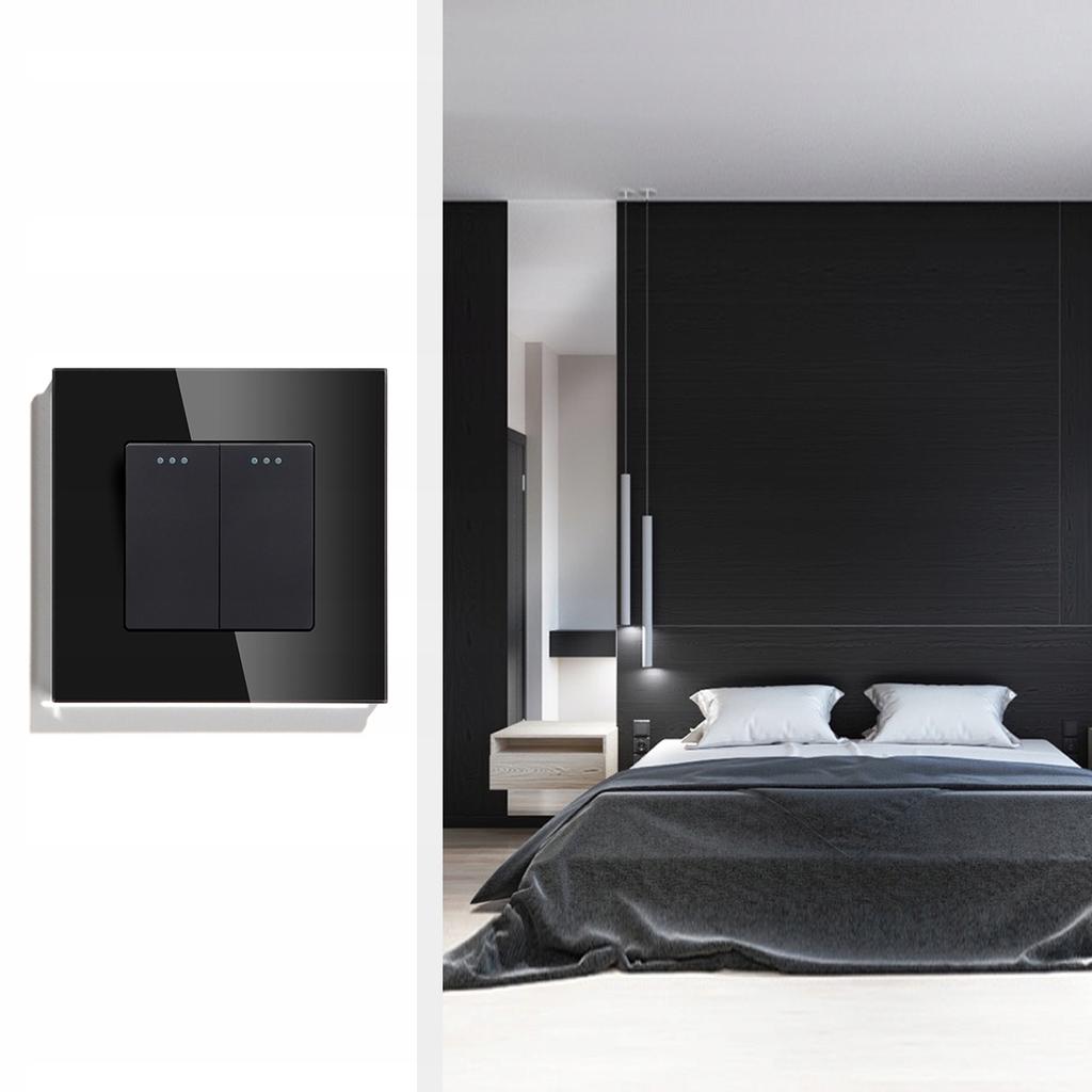 Light Switch 2P Mechanical Insert Black RTX SH