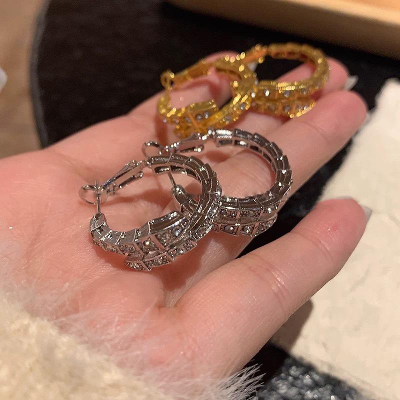 Unique Design Snake Zircon Stud Earrings Women's Ear Buckle New Light Luxury Snake Bone Earrings Exquisite Versatile Fashion Earrings